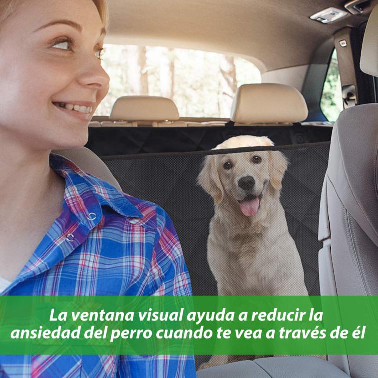 La ventana visual ayuda a reducir la ansiedad de tu perro cuando te veas a traves de el